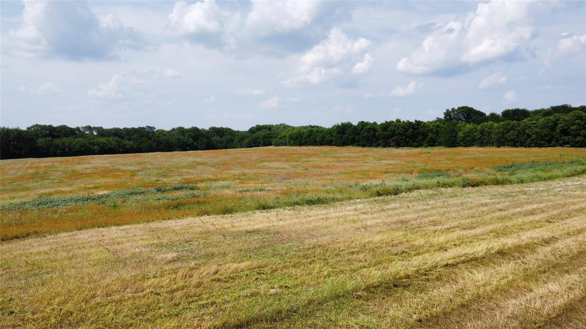 Howe, TX 75090,TBD Red Road