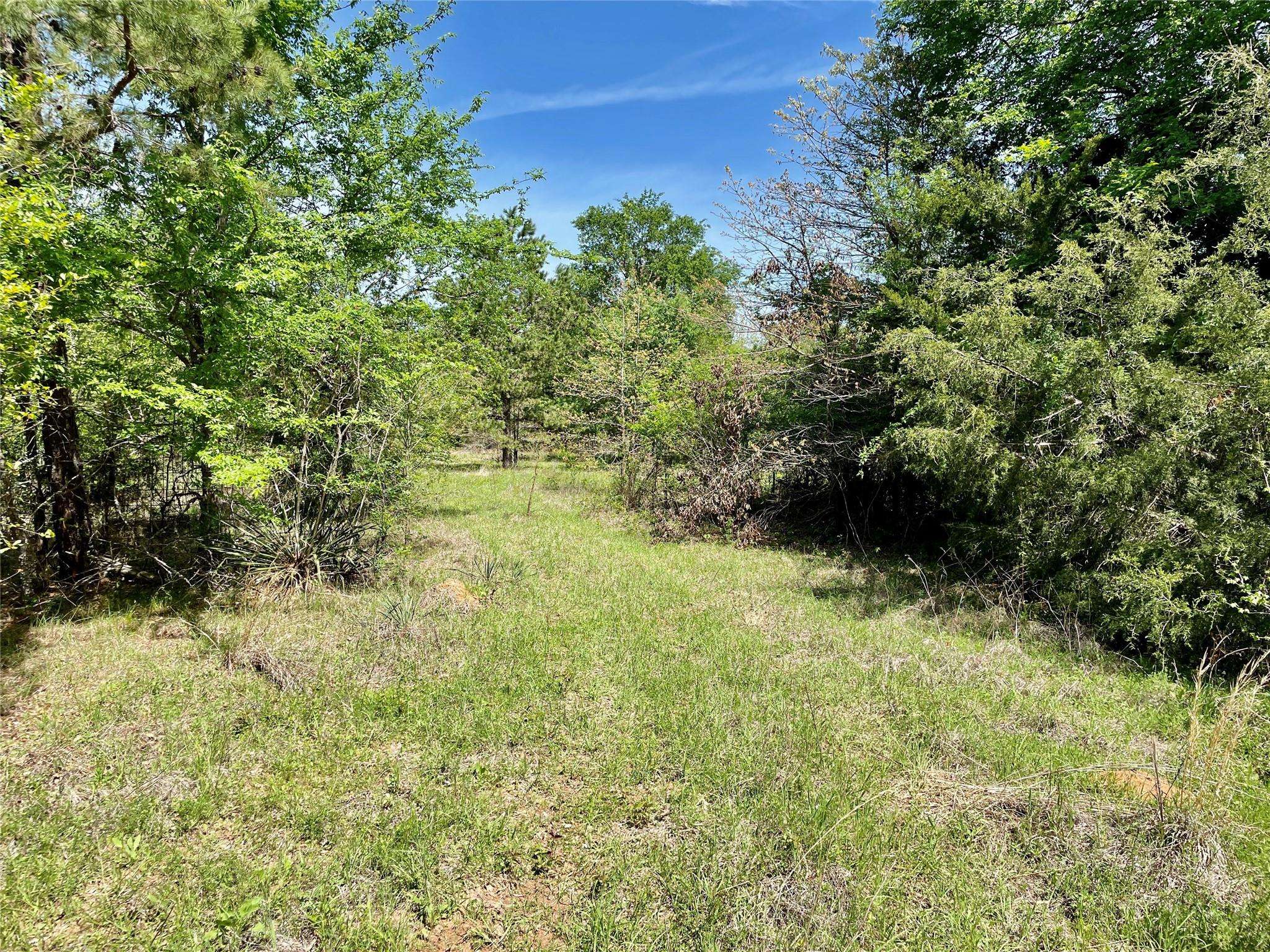 Lindale, TX 75771,19808 County Road 444