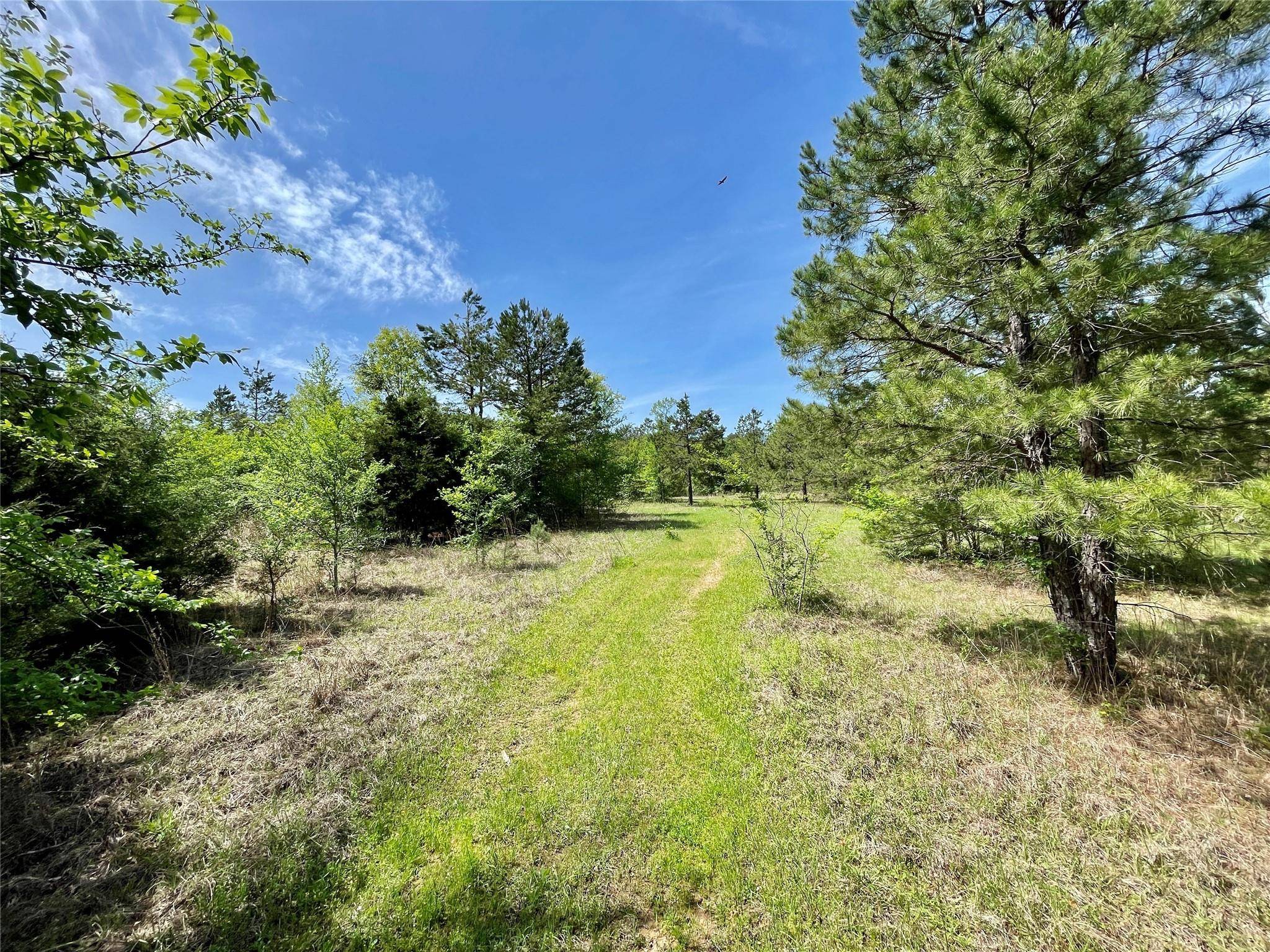 Lindale, TX 75771,19808 County Road 444