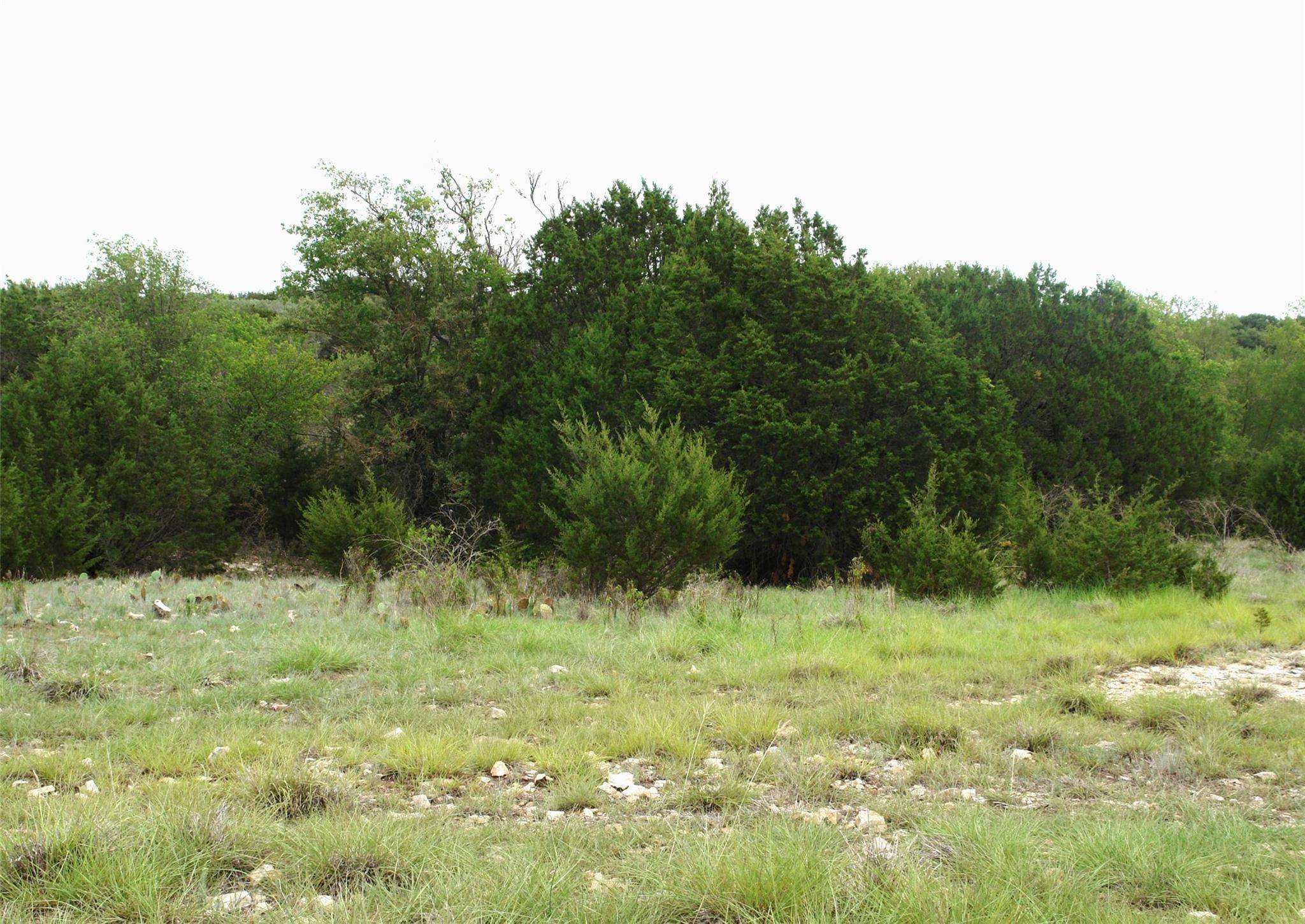 Goldthwaite, TX 76844,120 CR 317