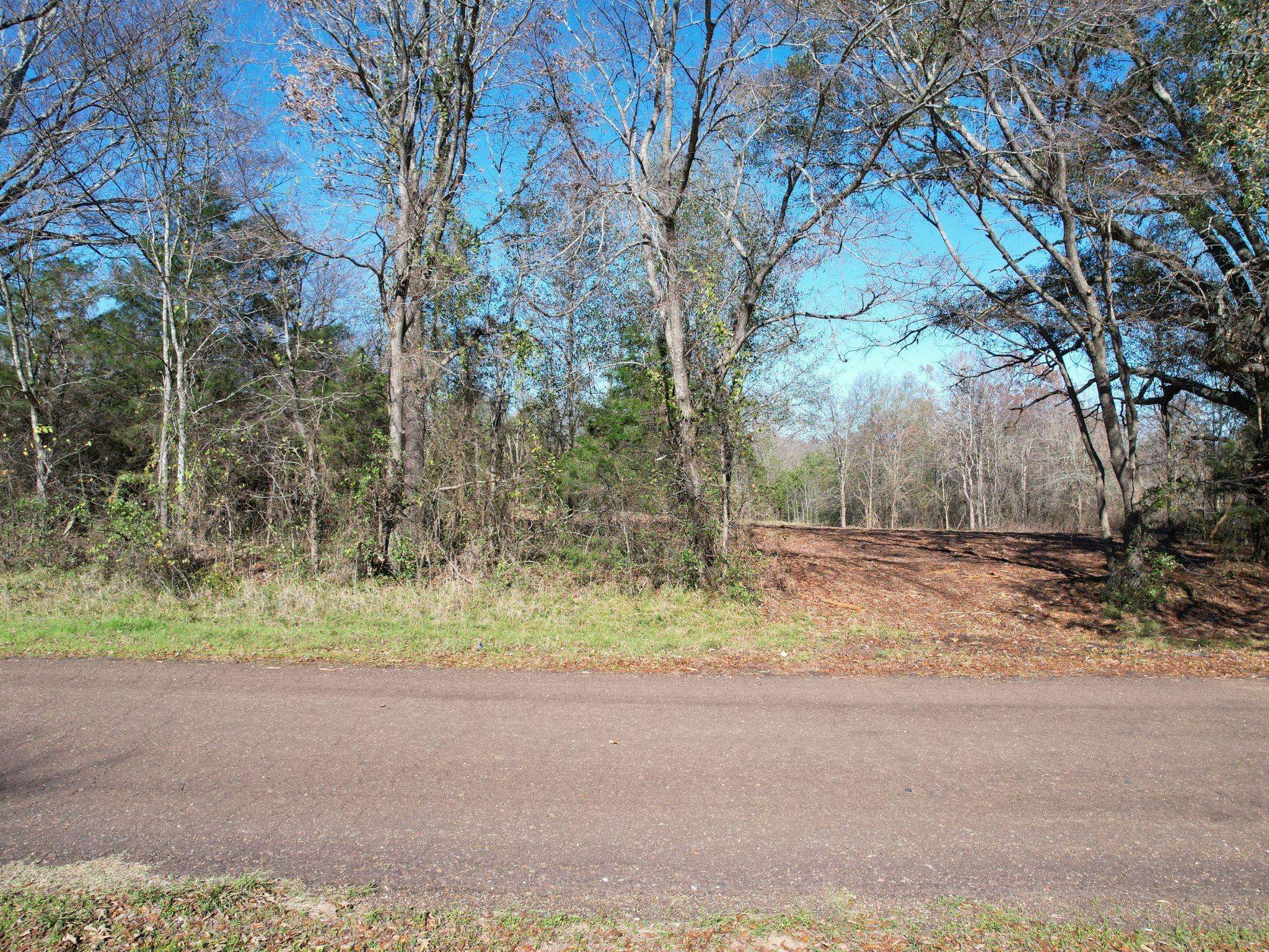 Grand Saline, TX 75410,Tract 6 CR 1810 Road