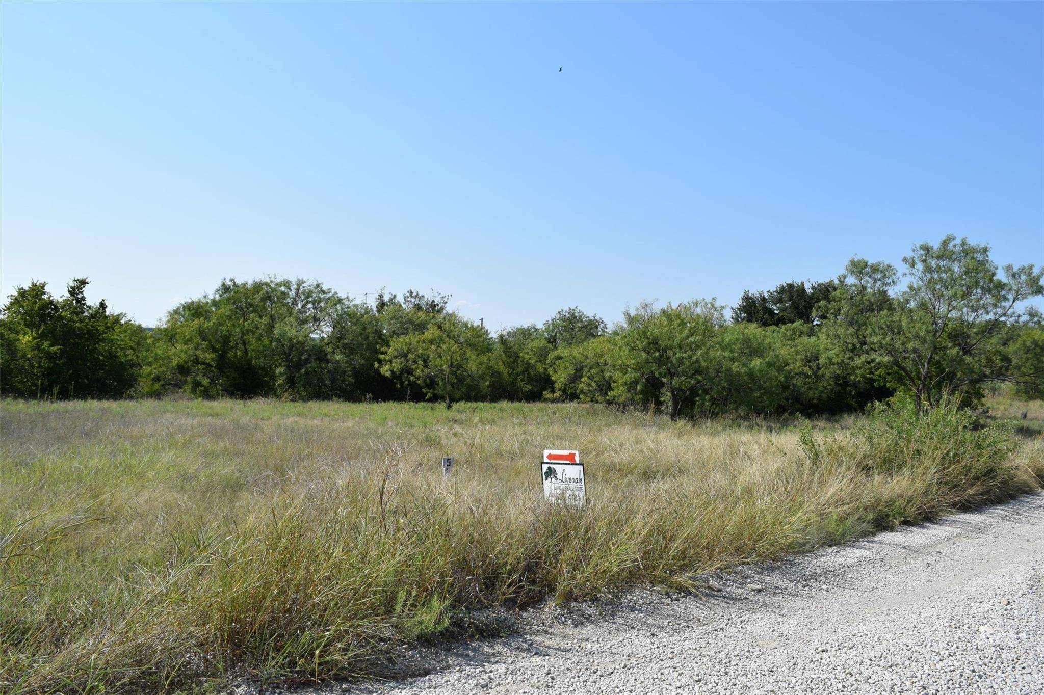 Lake Brownwood, TX 76801,Lot 5 Baylie Drive