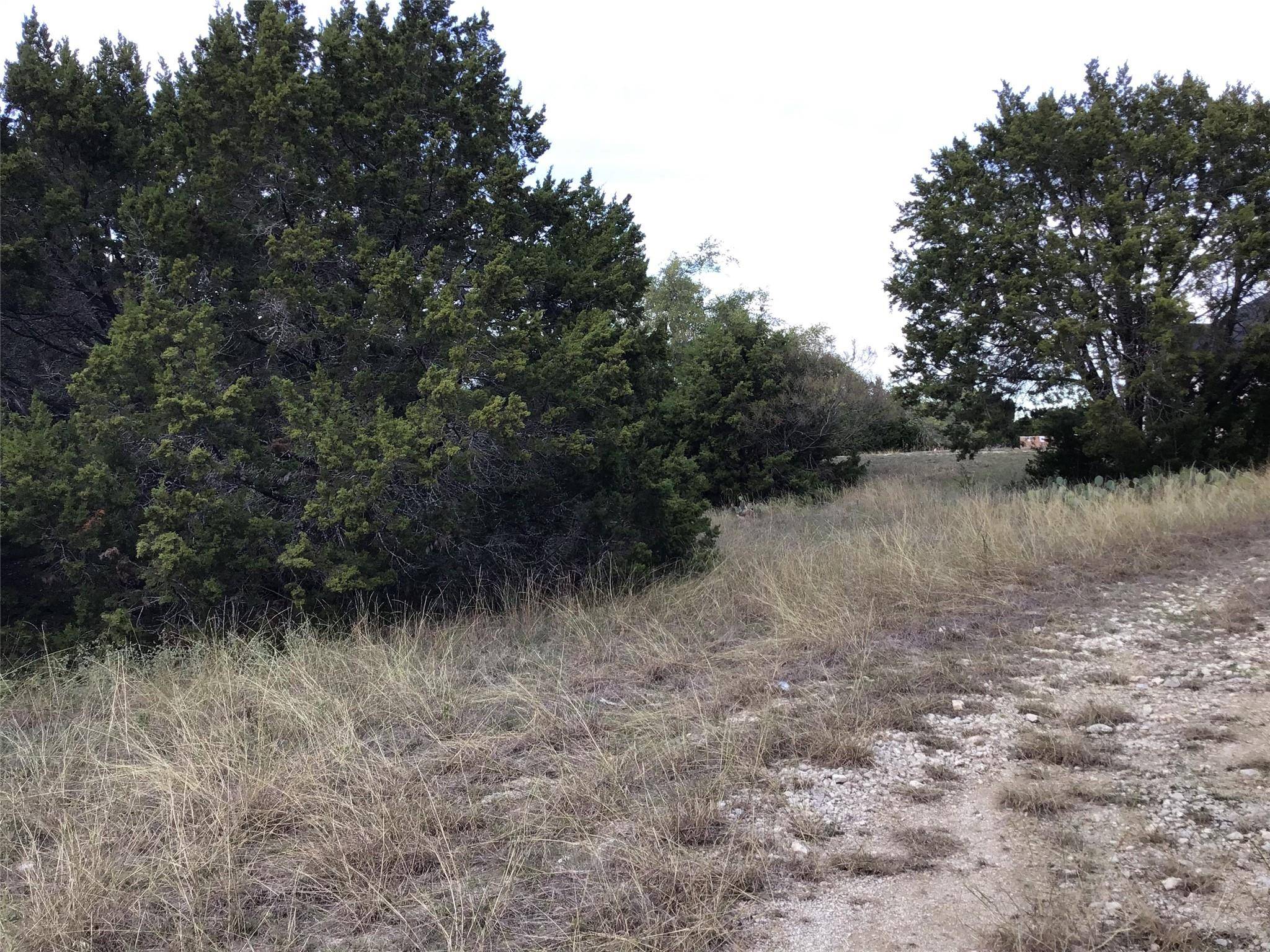 Whitney, TX 76692,19019 Bluebonnet Drive