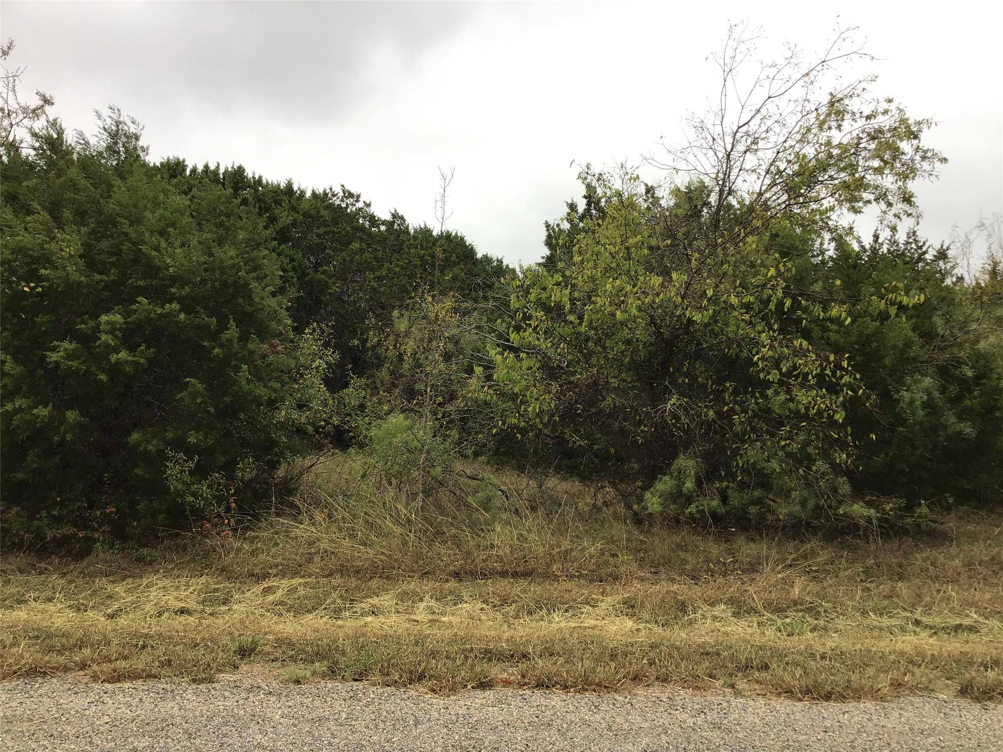 Whitney, TX 76692,12110 Oak Dale Drive