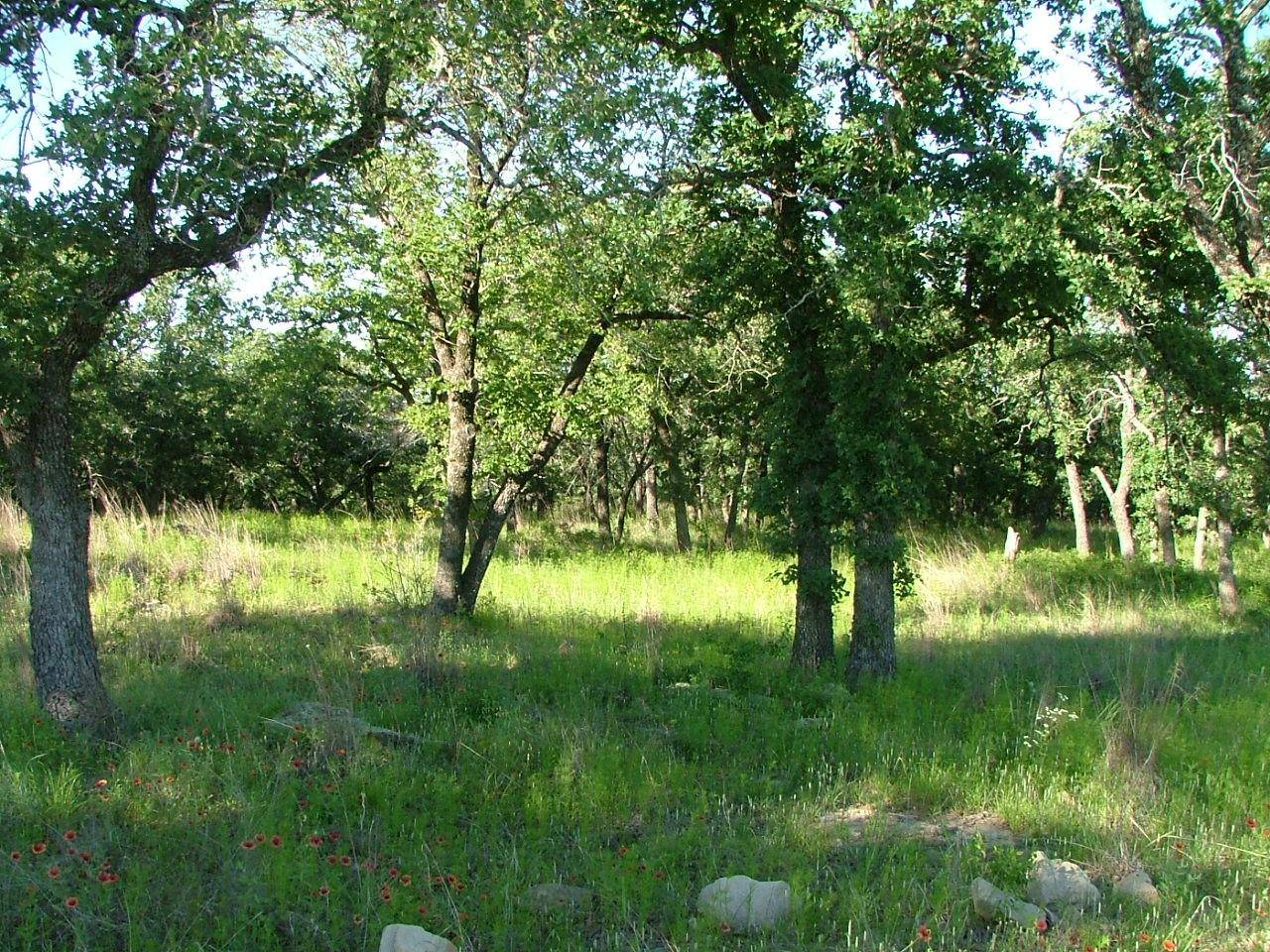 Chico, TX 76431,Lot 141 Cote D Azur Drive