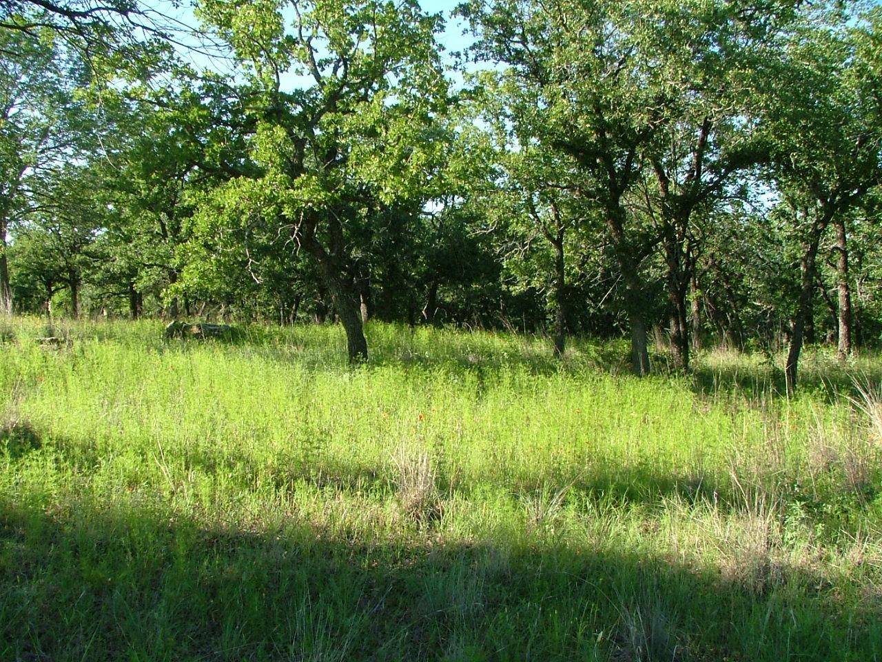 Chico, TX 76431,Lot 141 Cote D Azur Drive