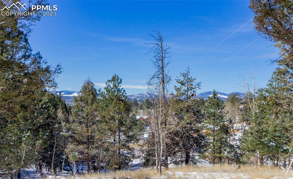 Florissant, CO 80816,1798 N Mountain Estates RD