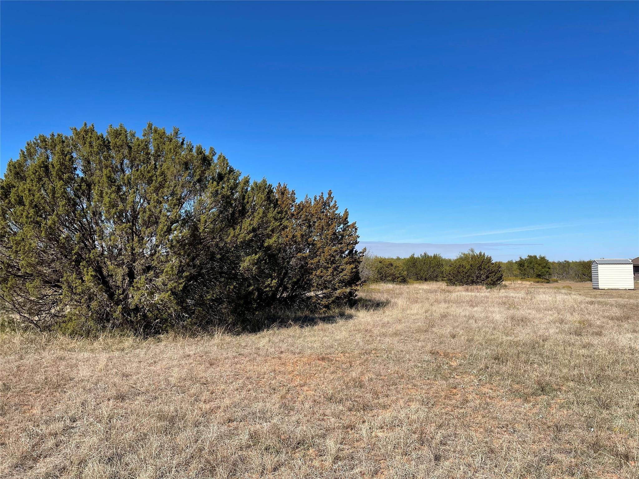 Tuscola, TX 79562,TBD Bell Plains Road