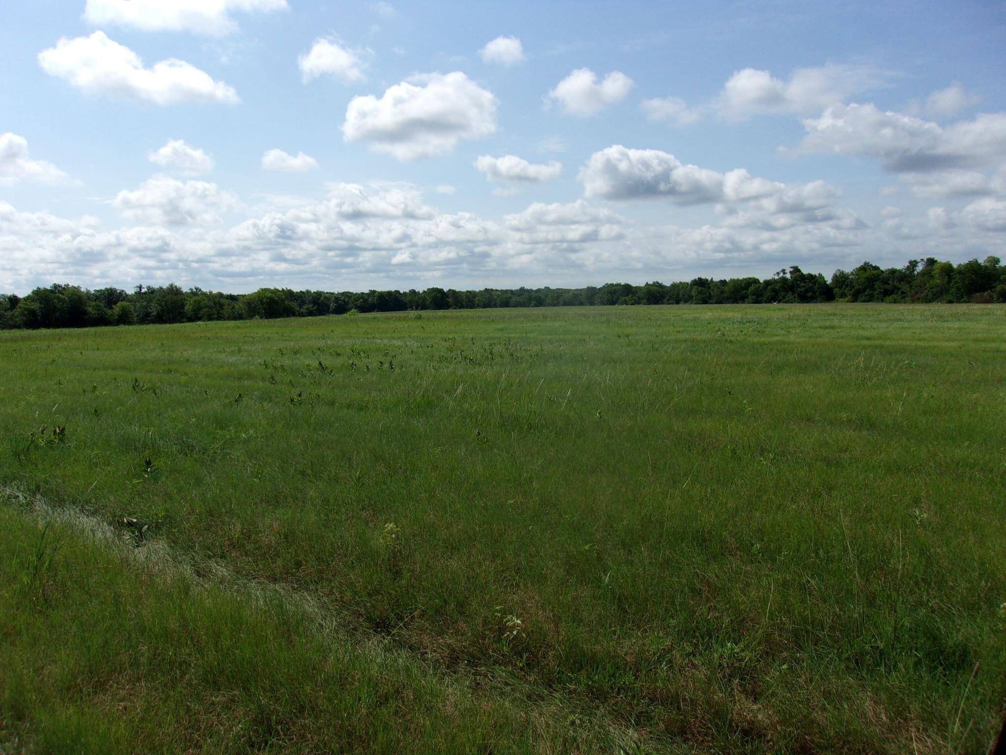 Sulphur Springs, TX 75482,TBD County Road 4763