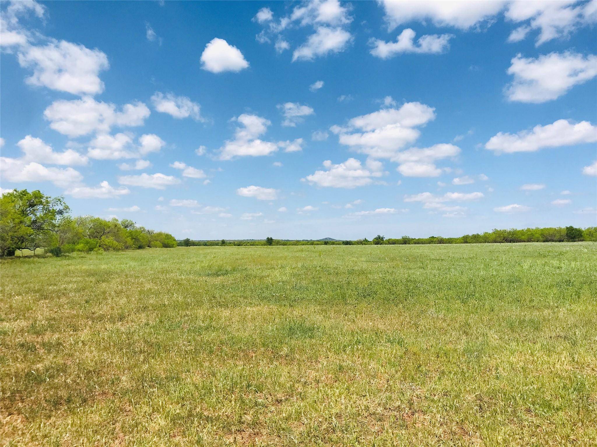 Cross Plains, TX 76443,8130 County Road 400