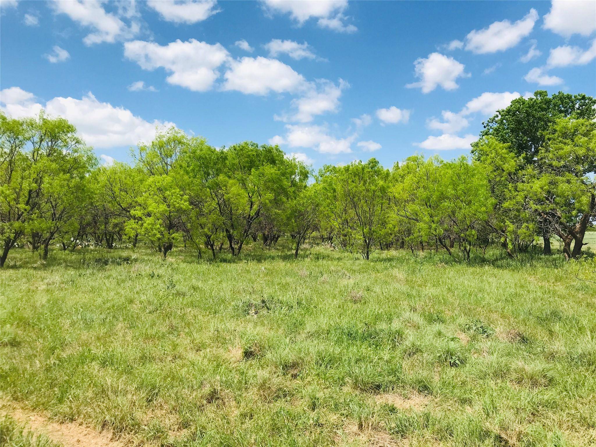 Cross Plains, TX 76443,8130 County Road 400