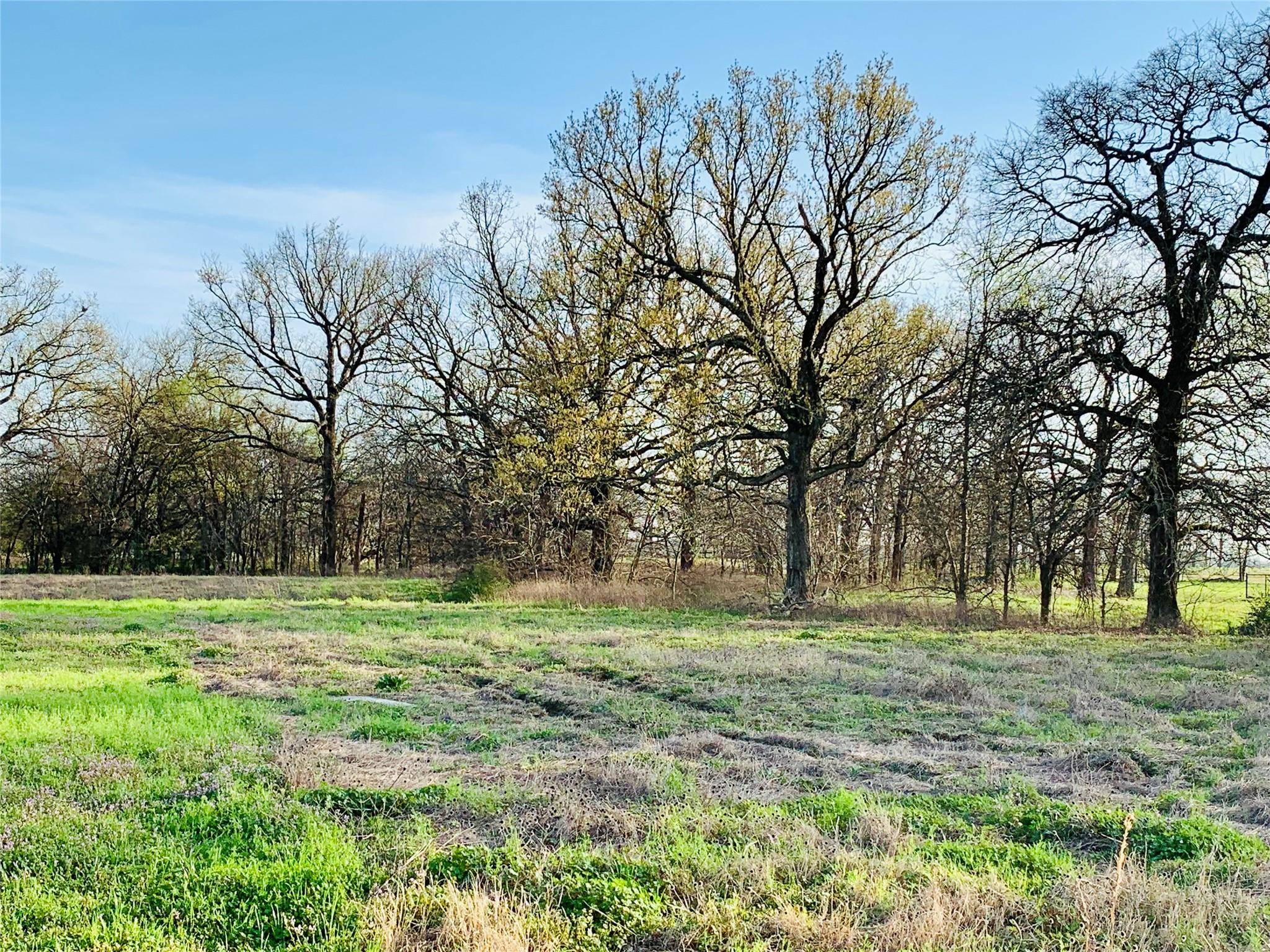 Sulphur Springs, TX 75482,Lot 4 County Road 2342