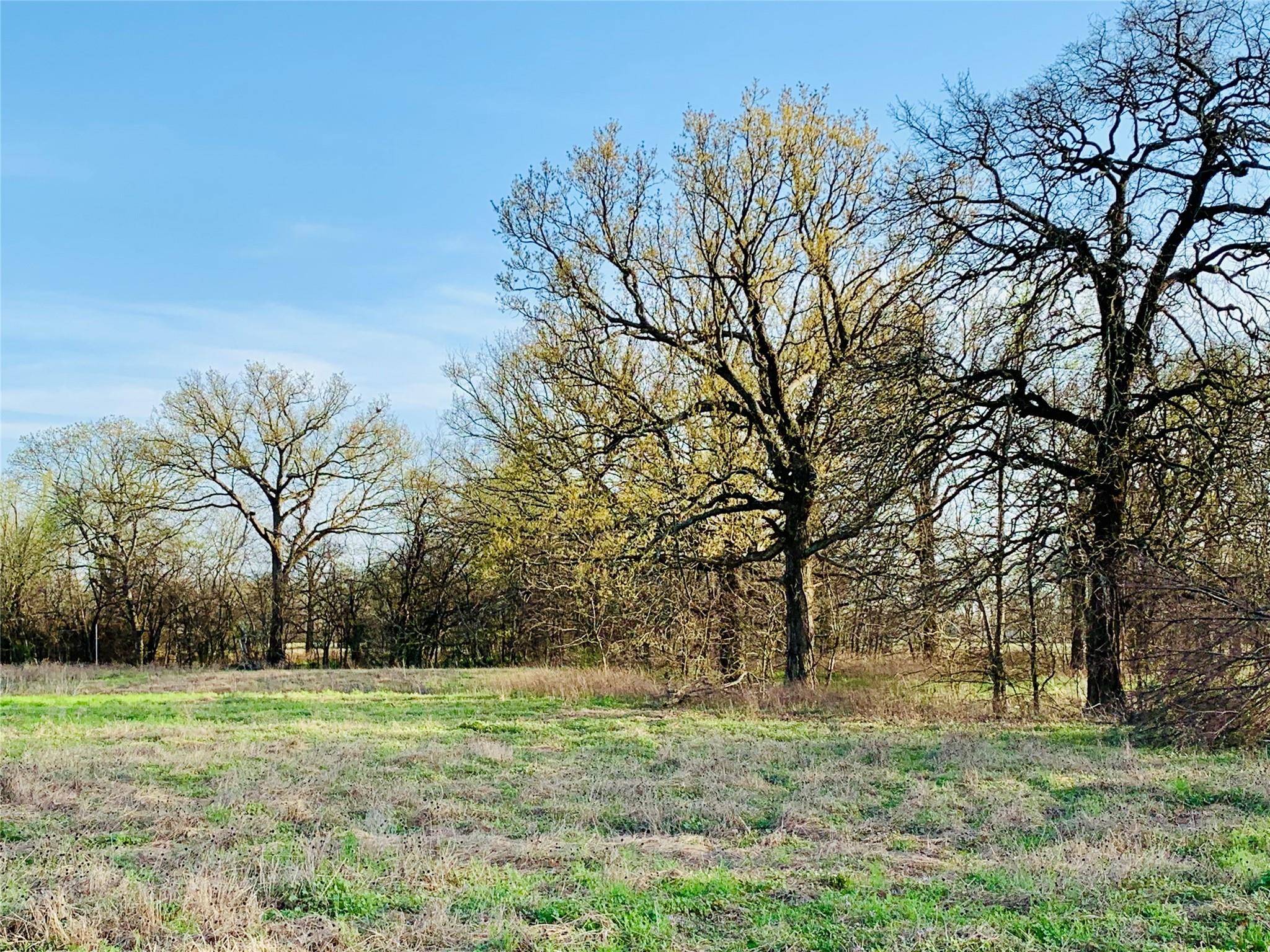 Sulphur Springs, TX 75482,Lot 4 County Road 2342