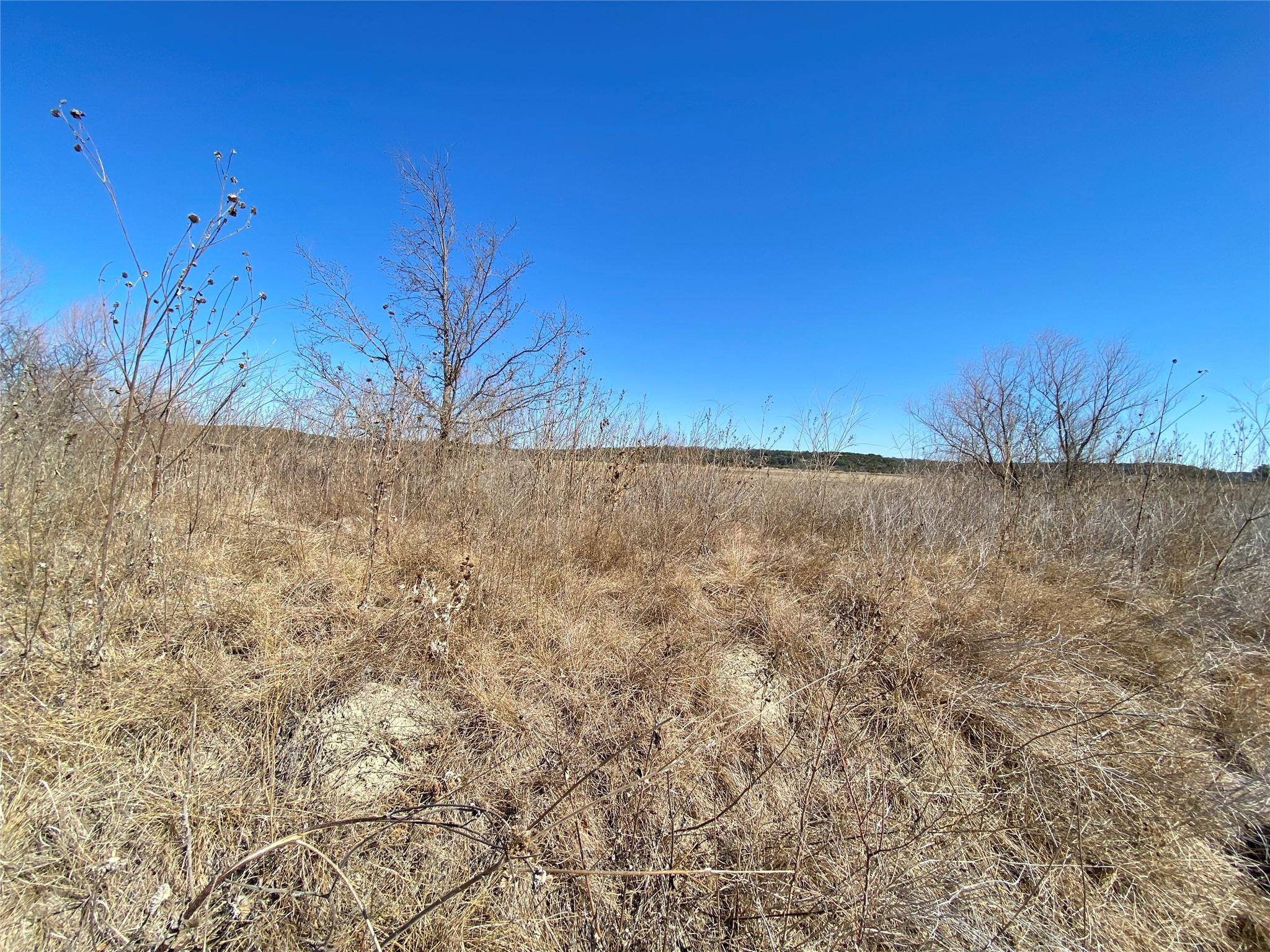 Jonesboro, TX 76538,TBD FM 1602 Tract 1