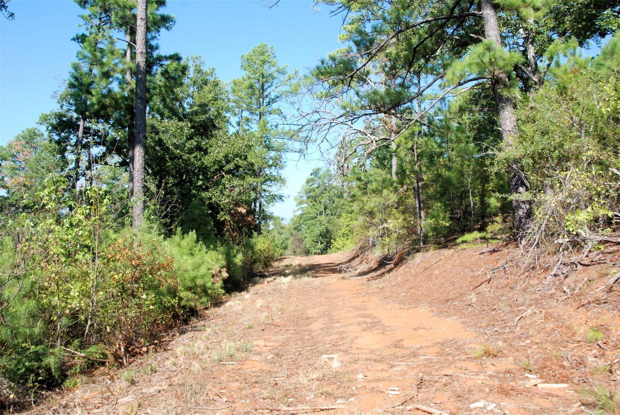 Lindale, TX 75771,000 County Road 481 Road