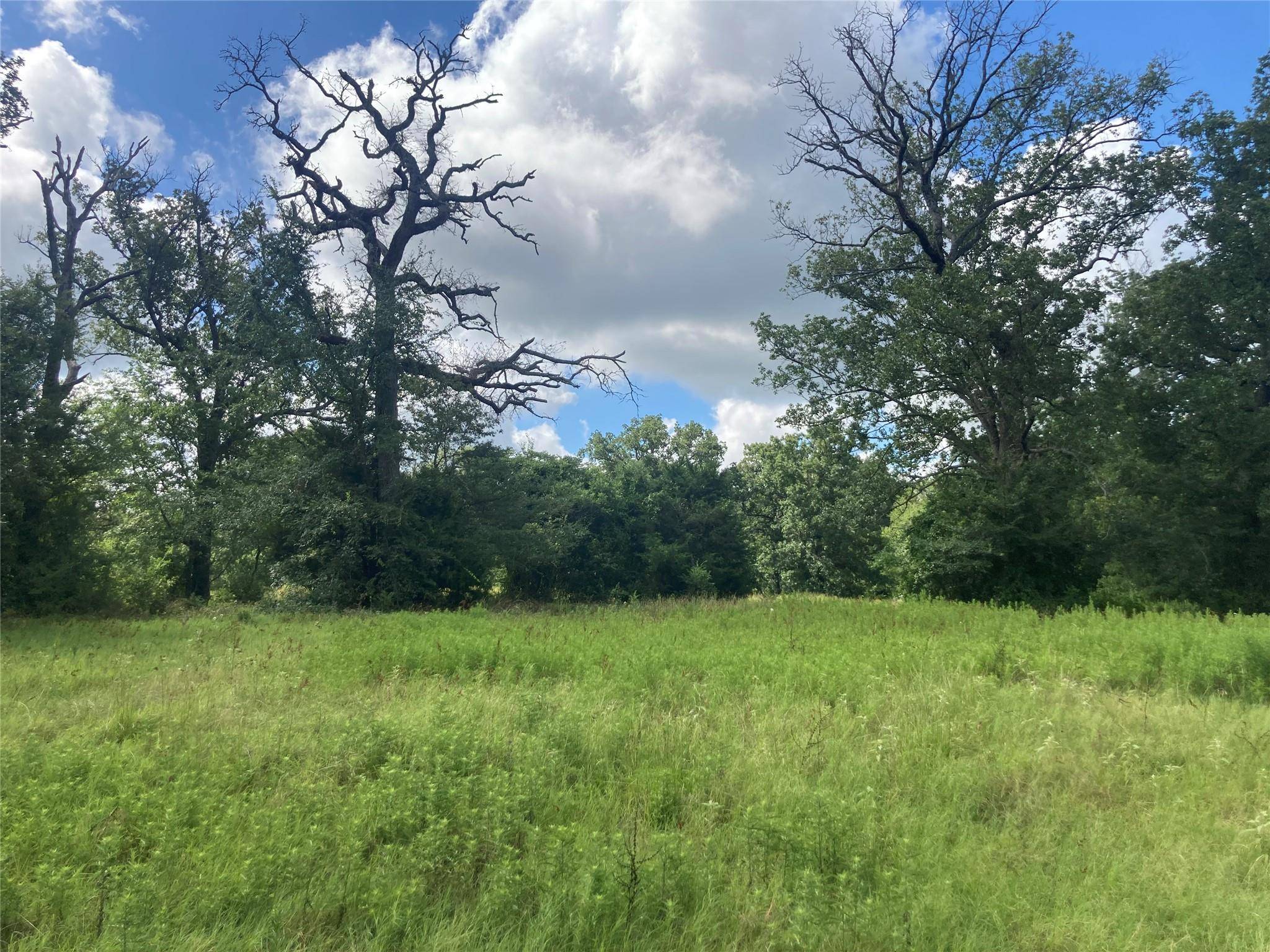 Cross Roads, TX 75751,0000 PVT RD 5209