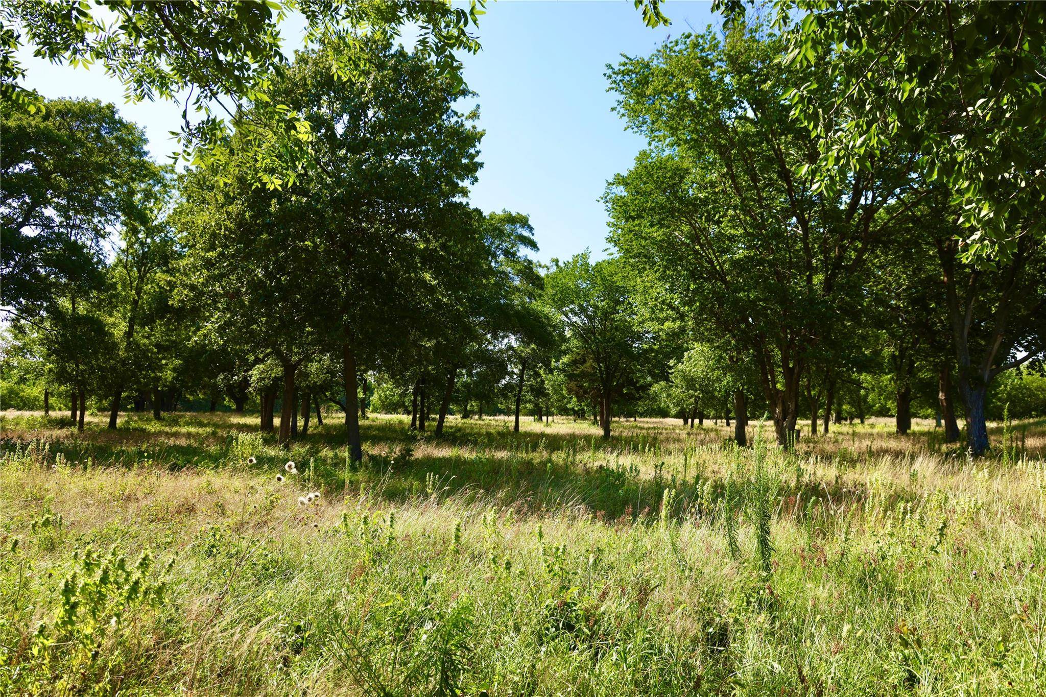 Springtown, TX 76082,73.9+/- Acres Sessums Lane