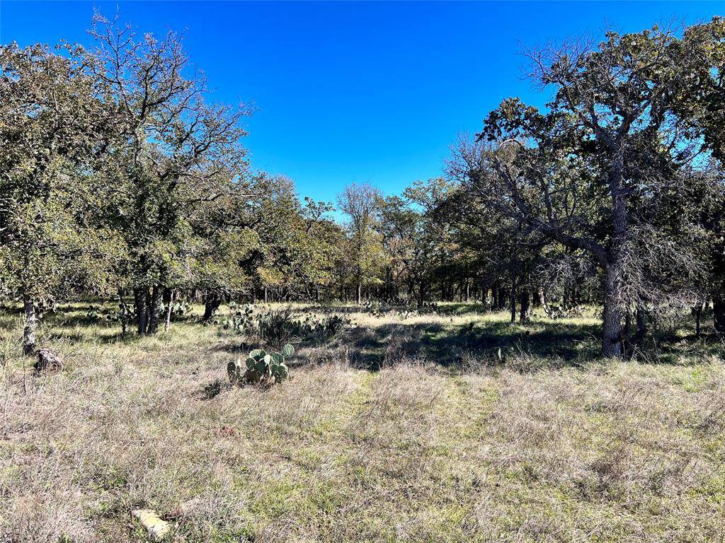 May, TX 76857,TBD Lot 1650 Lake Bluff Drive