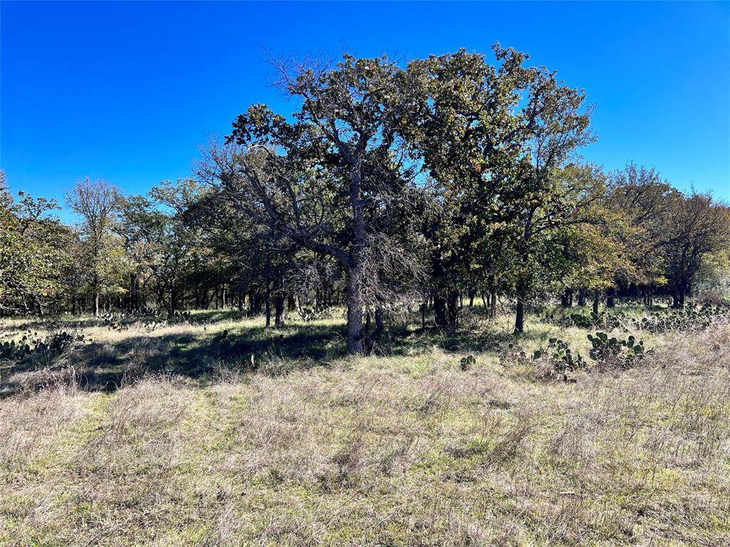 May, TX 76857,TBD Lot 1650 Lake Bluff Drive