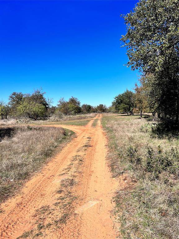 May, TX 76857,TBD Lot 1650 Lake Bluff Drive