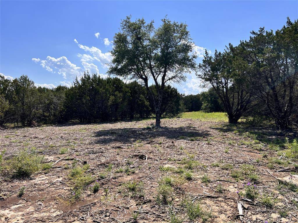 Glen Rose, TX 76070,TBD Creek Crossing Road #35