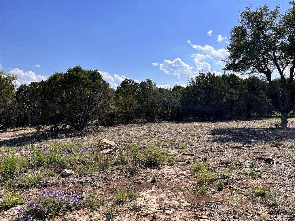 Glen Rose, TX 76070,TBD Creek Crossing Road #35