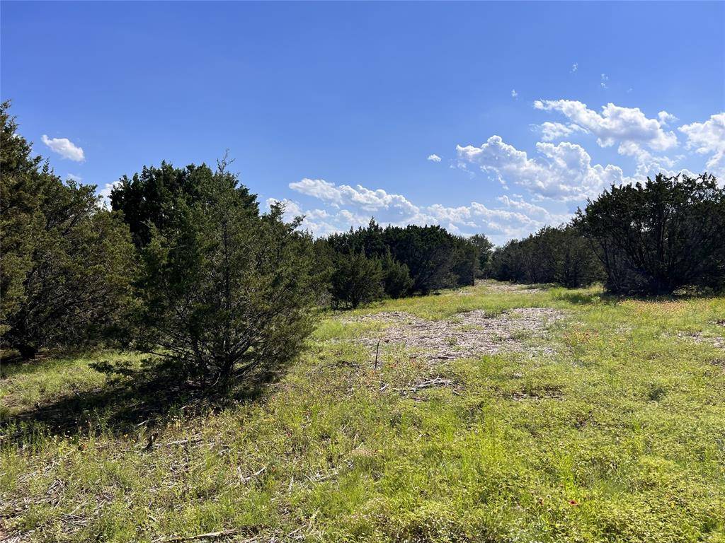 Glen Rose, TX 76070,TBD Creek Crossing Road #35