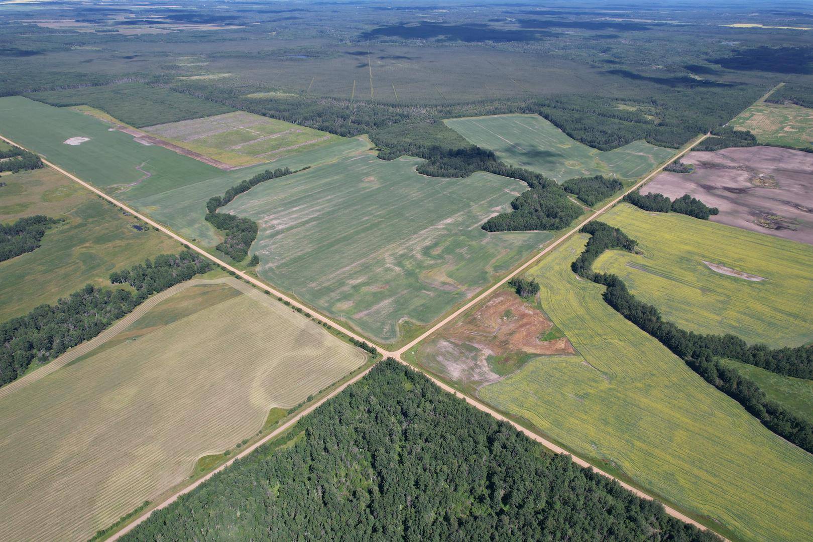 Rural Big Lakes County, AB T0G 1E0,72428 Range Road 180