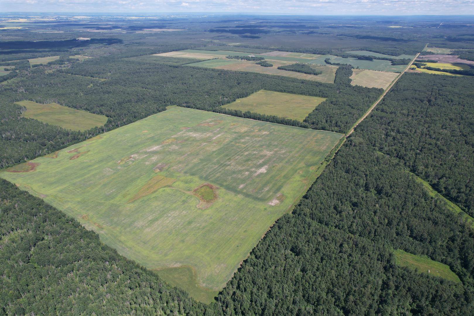 Rural Big Lakes County, AB T0G 1E0,72428 Range Road 180