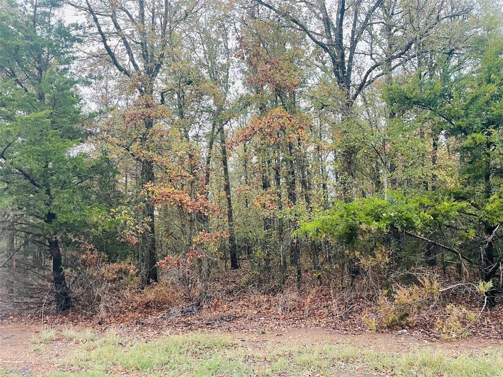 Stonewall, LA 71078,0 Quail Trail #Lot 33