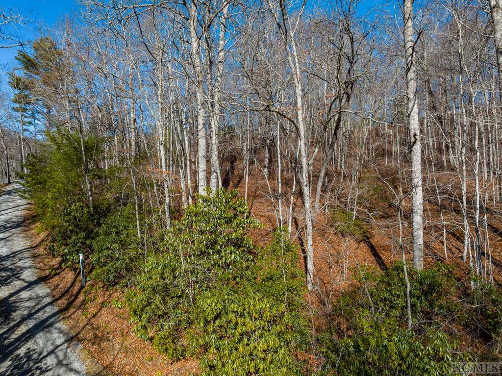 Glenville, NC 28736,00 Leafy Knoll Circle