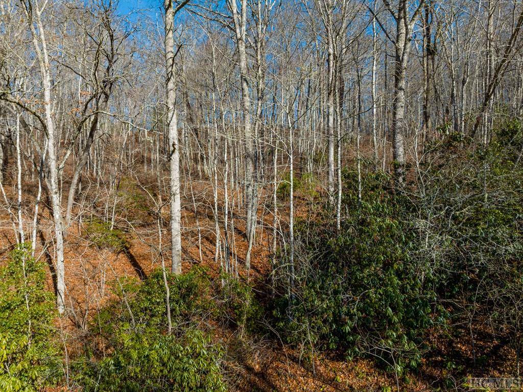 Glenville, NC 28736,00 Leafy Knoll Circle