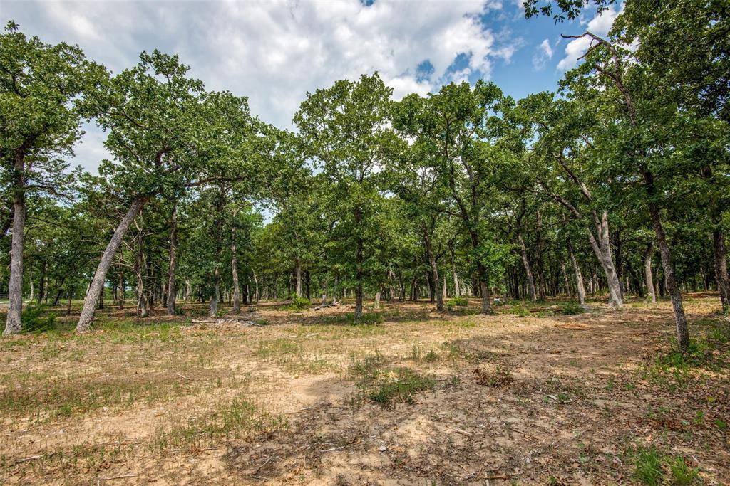 Collinsville, TX 76233,TBD (17 Acres) CR 232