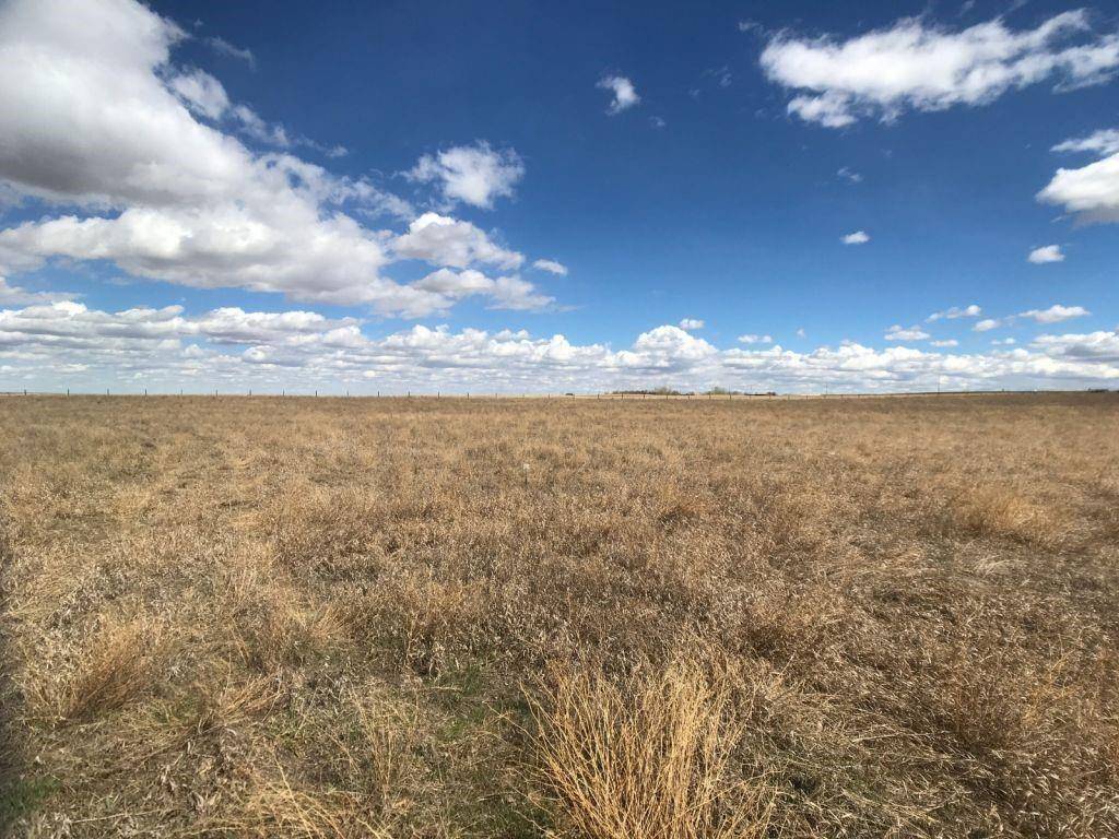 Rural Vulcan County, AB T0L 1L0,Lot 15, 185006 RR220