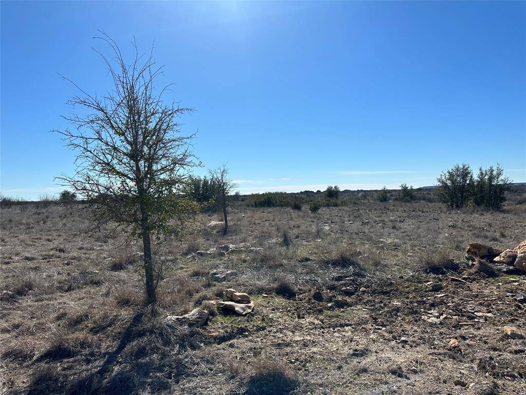 Graford, TX 76449,Lot 313 St Andrews Drive