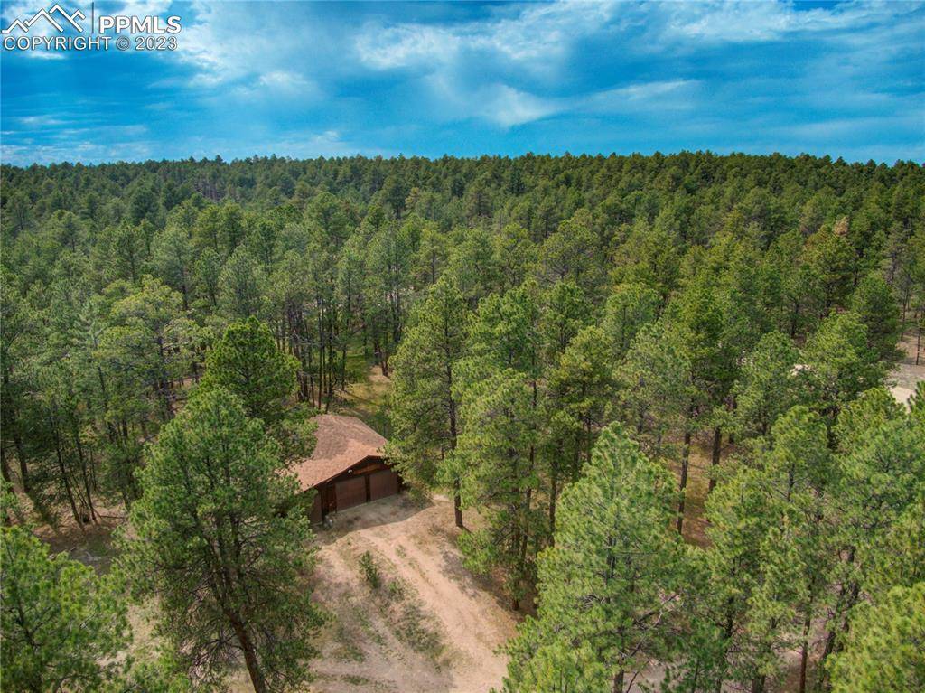 Colorado Springs, CO 80908,Abert Ridge VW