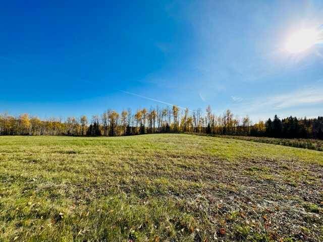 Rural Clearwater County, AB T4T 1B2,75043 37-4 Township Road