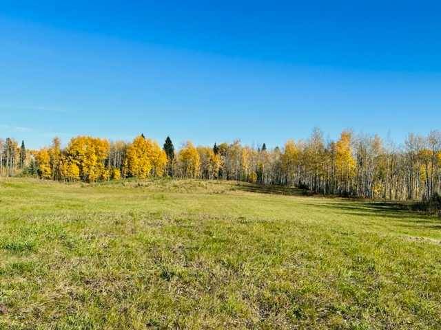 Rural Clearwater County, AB T4T 1B2,75043 37-4 Township Road