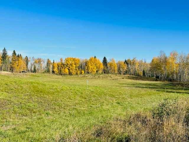 Rural Clearwater County, AB T4T 1B2,75043 37-4 Township Road