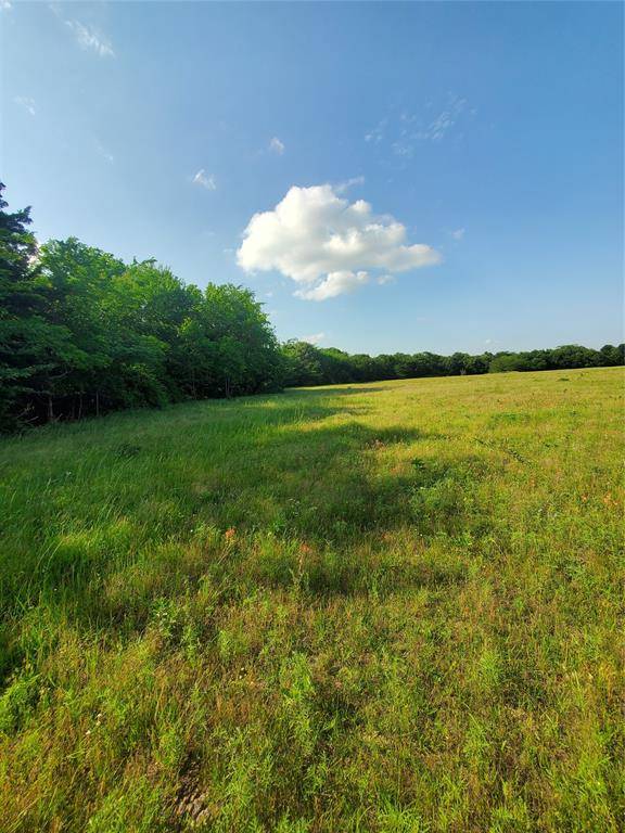 Honey Grove, TX 75446,TBD County Road 2855