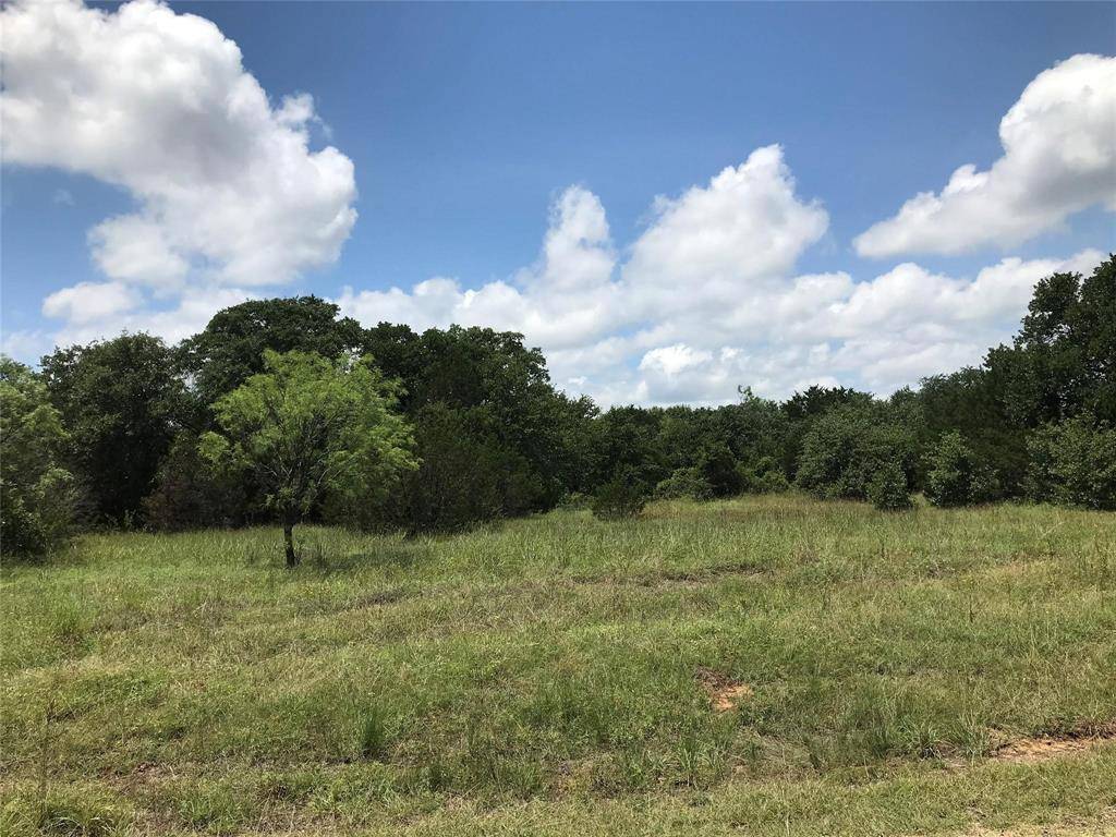 Palo Pinto, TX 76484,Lot 18 N Lakeview Drive