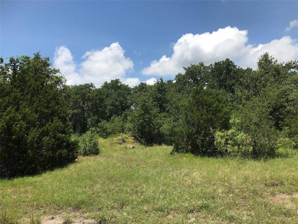 Palo Pinto, TX 76484,Lot 18 N Lakeview Drive