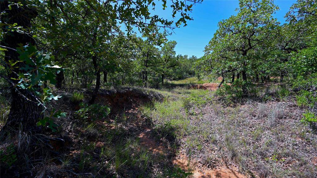 Nocona, TX 76255,0000 FM 2953