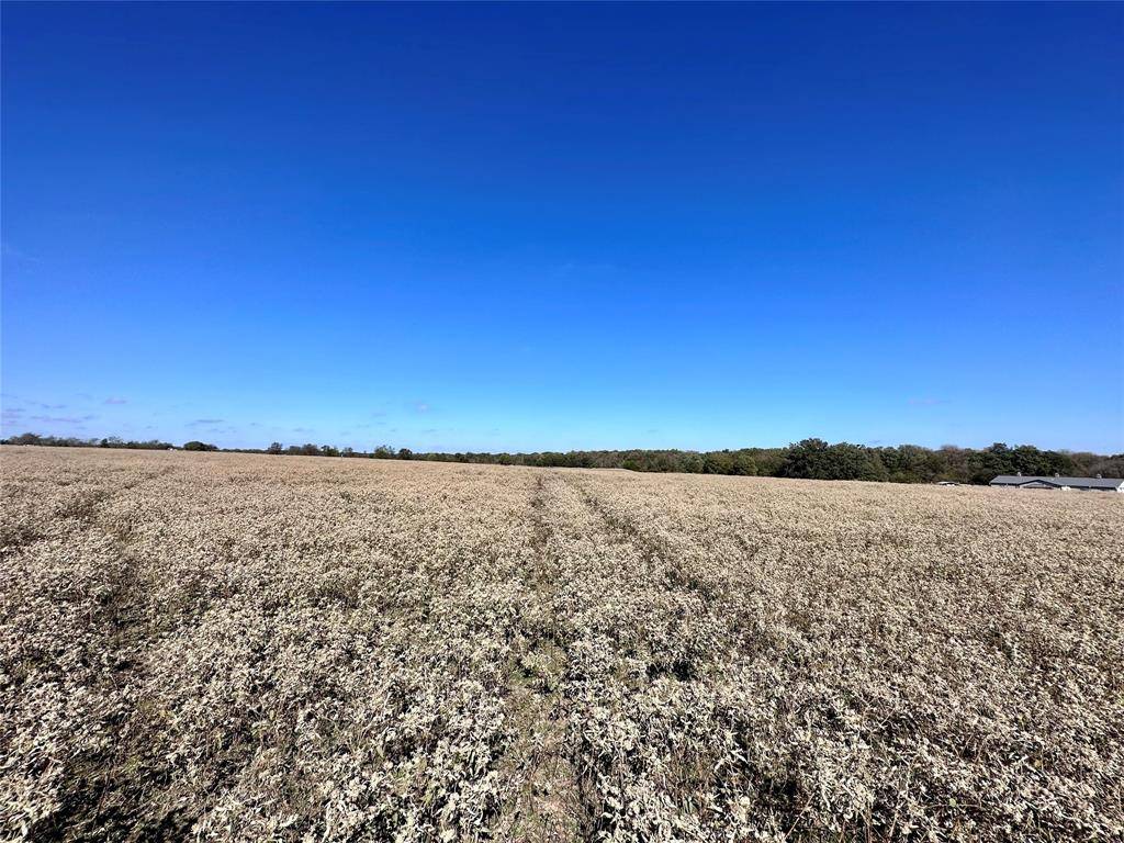 Sulphur Springs, TX 75482,TBD County Road 4762