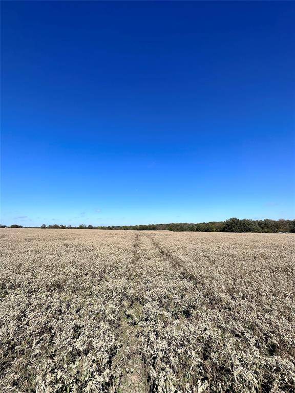 Sulphur Springs, TX 75482,TBD County Road 4762