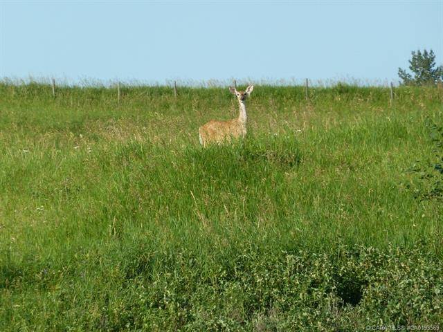 Rural Ponoka County, AB T4J 1R3,420069 Range Road 284 #27