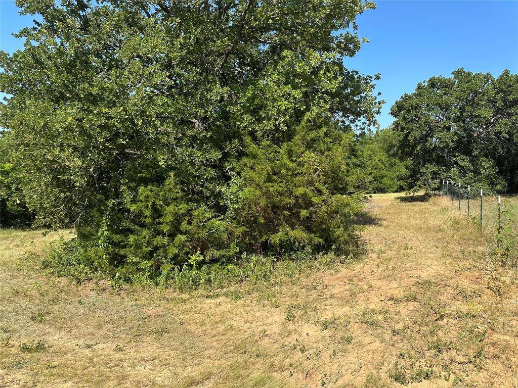 Boyd, TX 76023,TBD County Road 4599, Lot 10