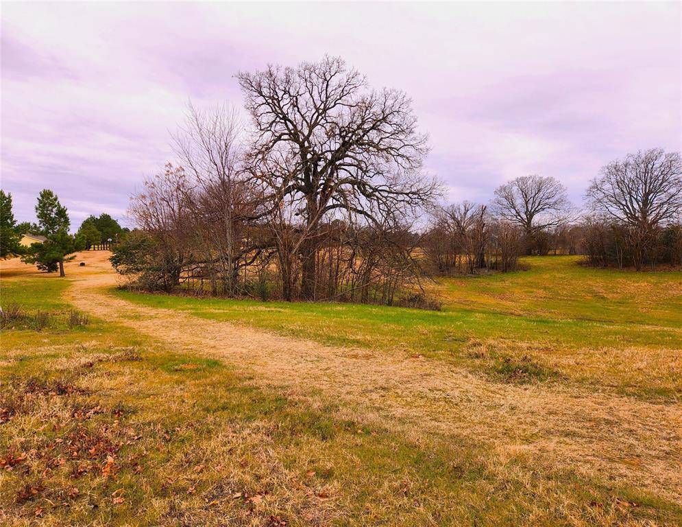 Athens, TX 75752,Lot 125 Clear View Court