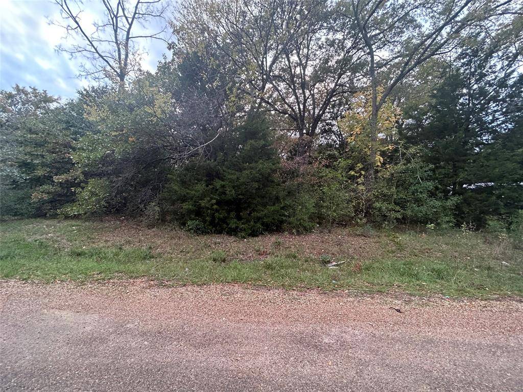 Mabank, TX 75156,0 Ute Trail