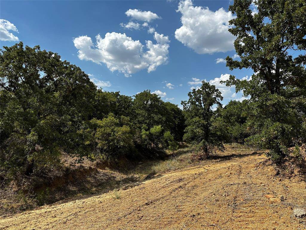 Graham, TX 76450,TBD Tract 4 & 5 Rocky Mound Road